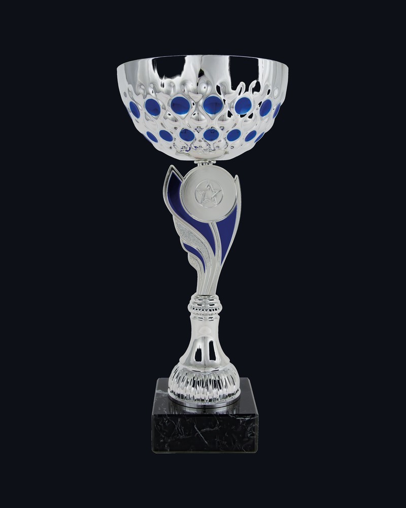 Copa Topos Azul y Plata
