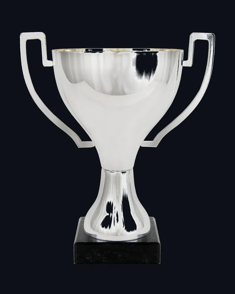 Copa Fuego Lisa