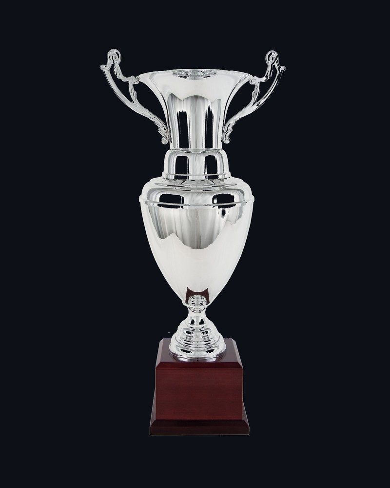 Copa Ánfora con Asas Plata