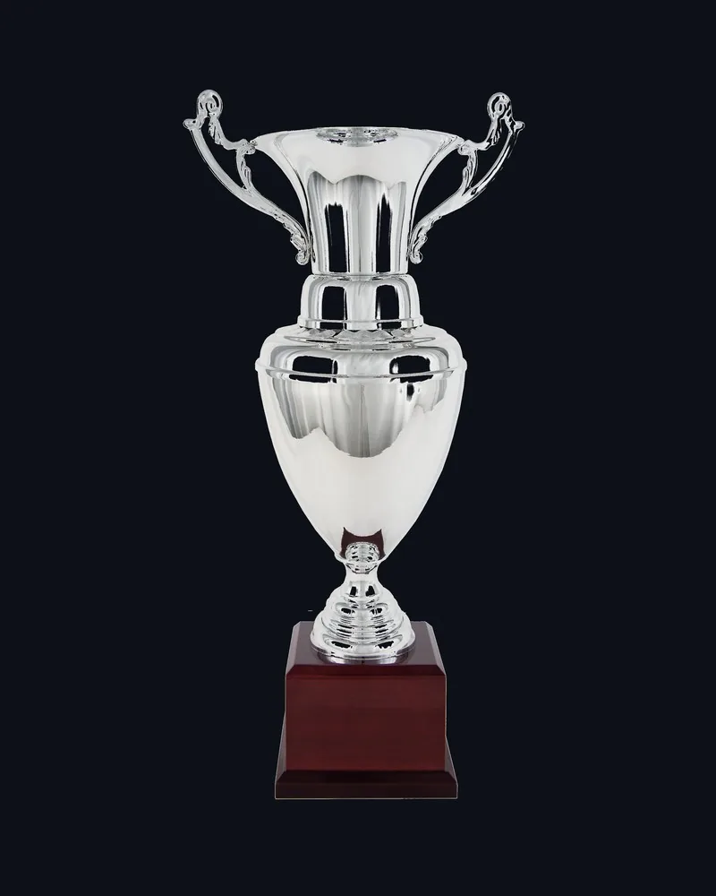 Copa Ánfora con Asas Plata