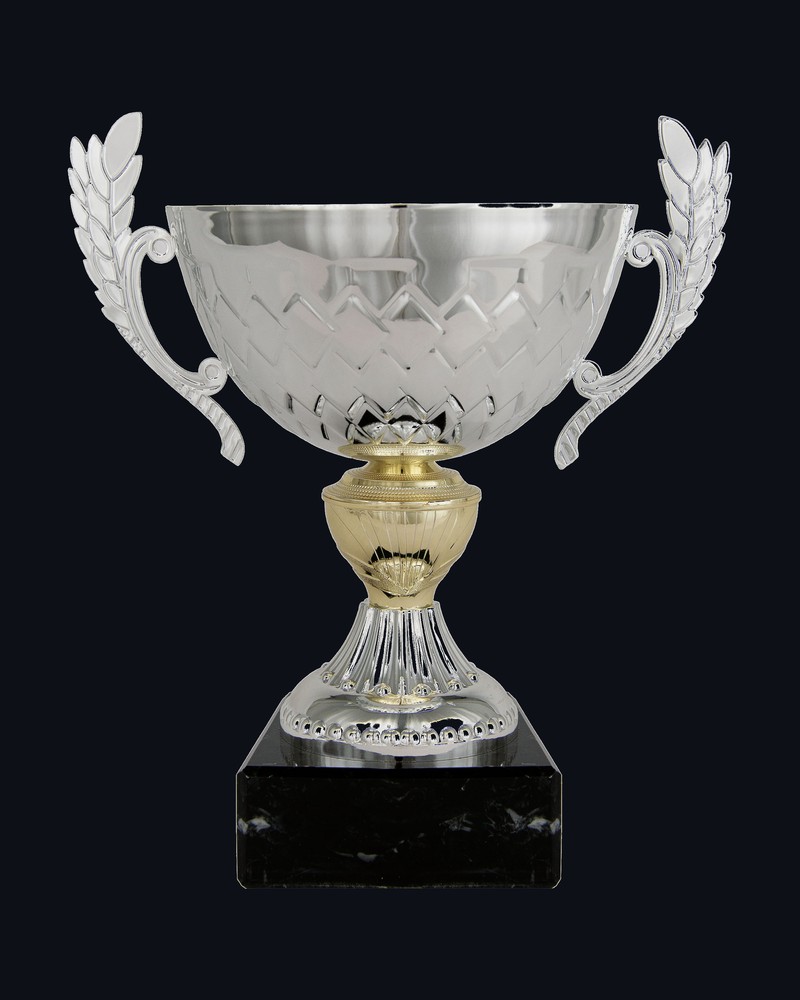 Copa Ensaladera con Asas Cenefa