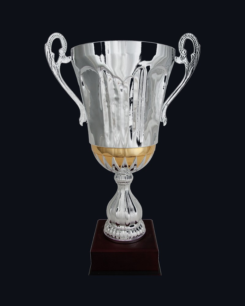 Copa con Asas Centro Bicolor