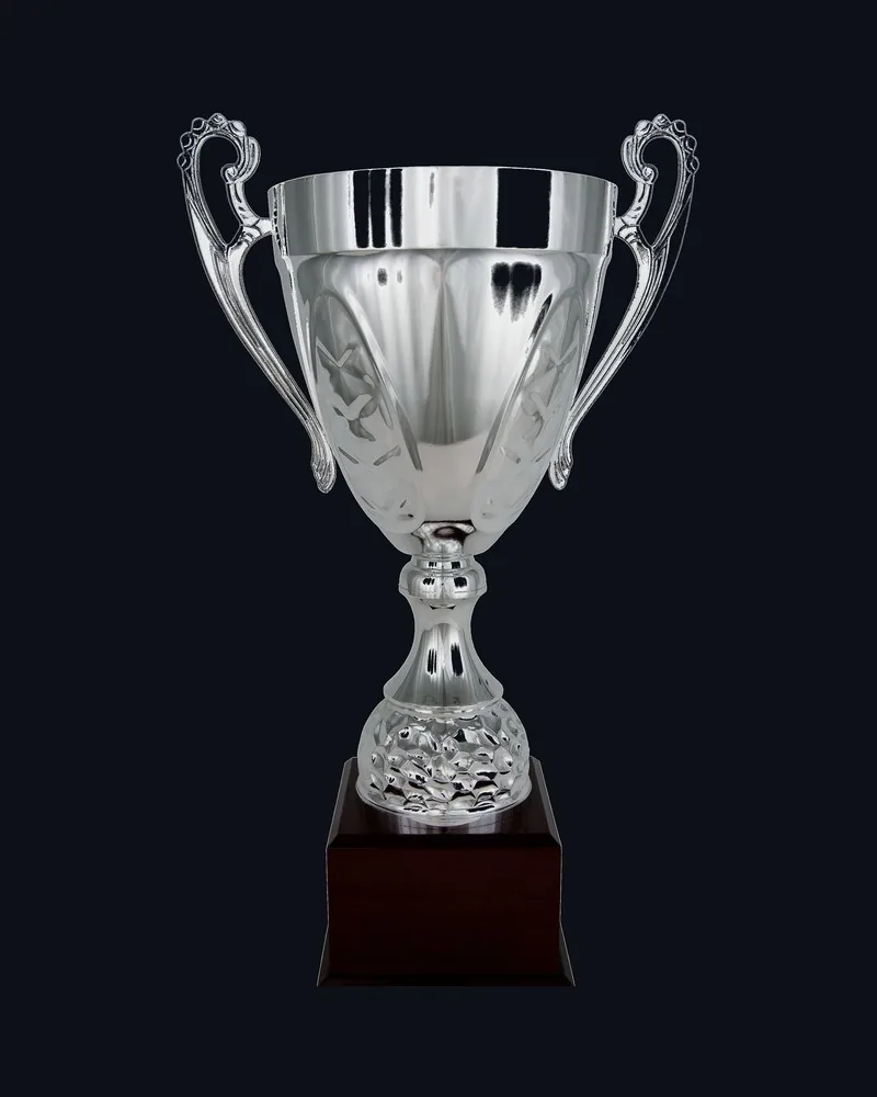 Copa Cono con Asas Base Nido Plata