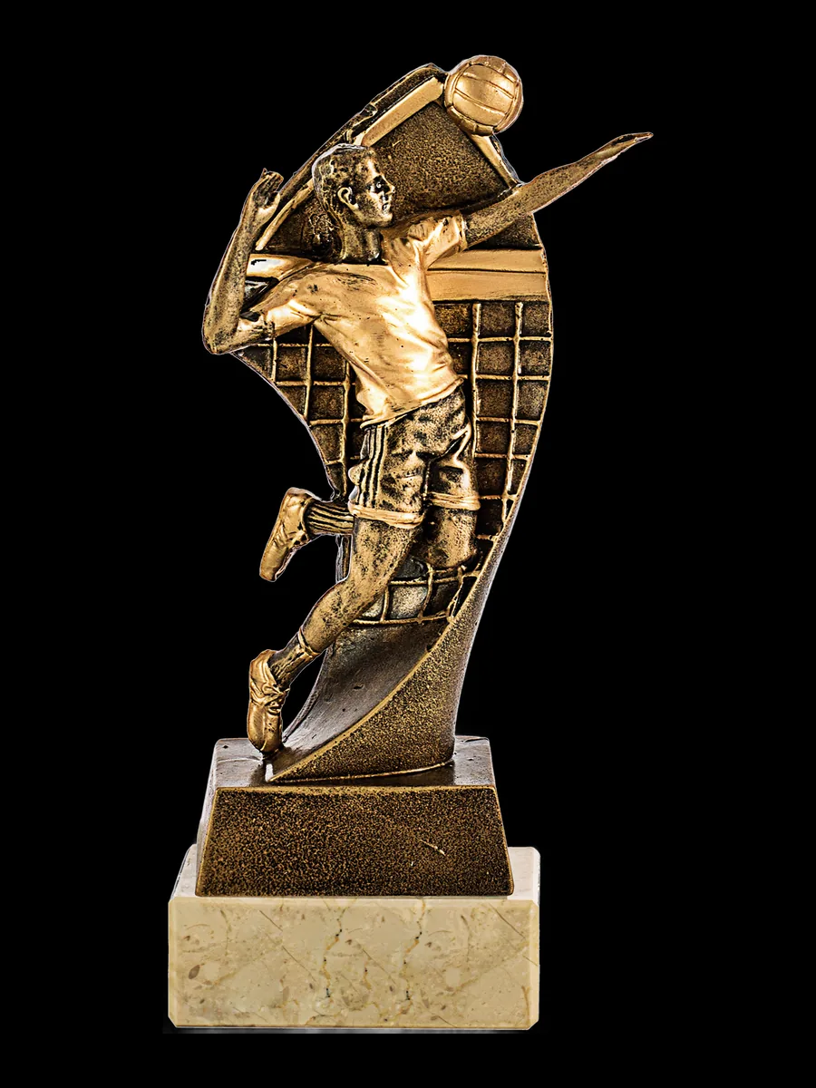 Trofeo de voleibol dorado - Vista principal