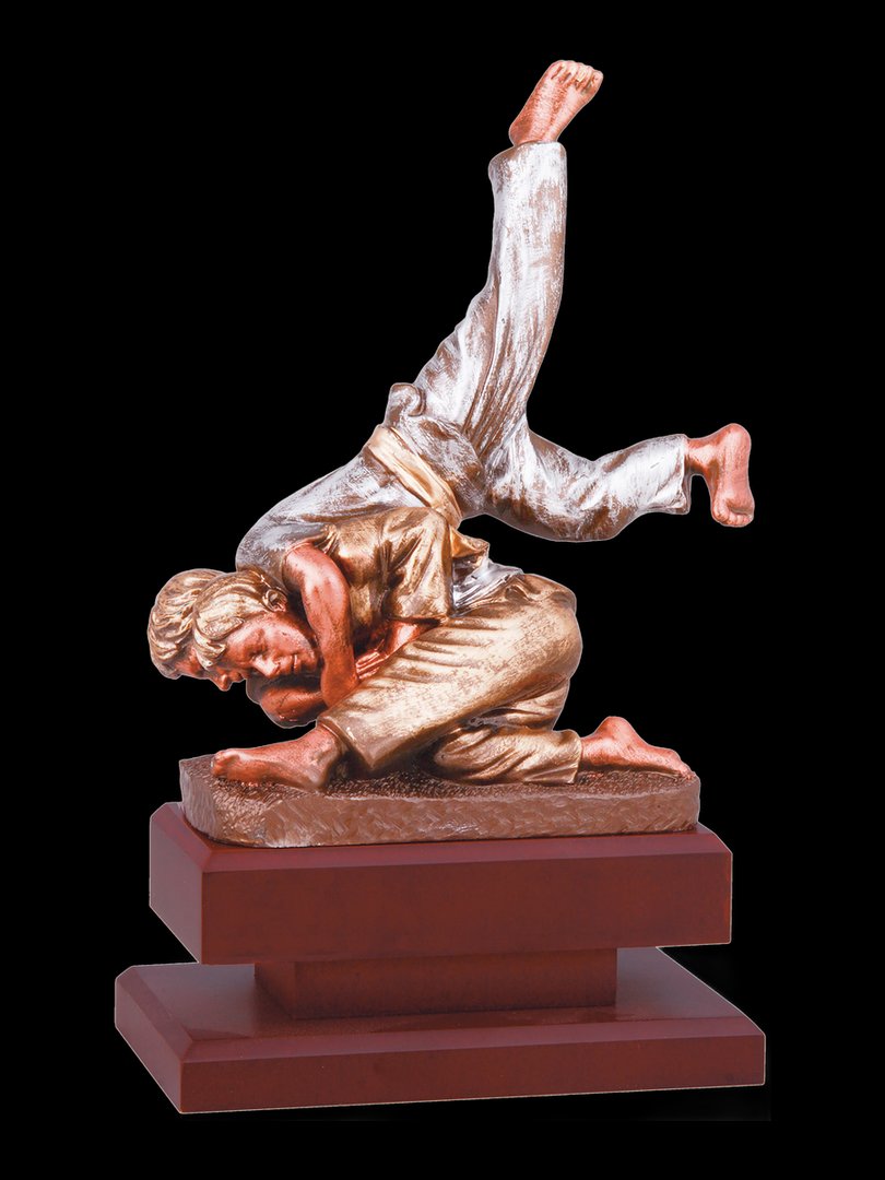 Jugador de judo doble - Ref 6649