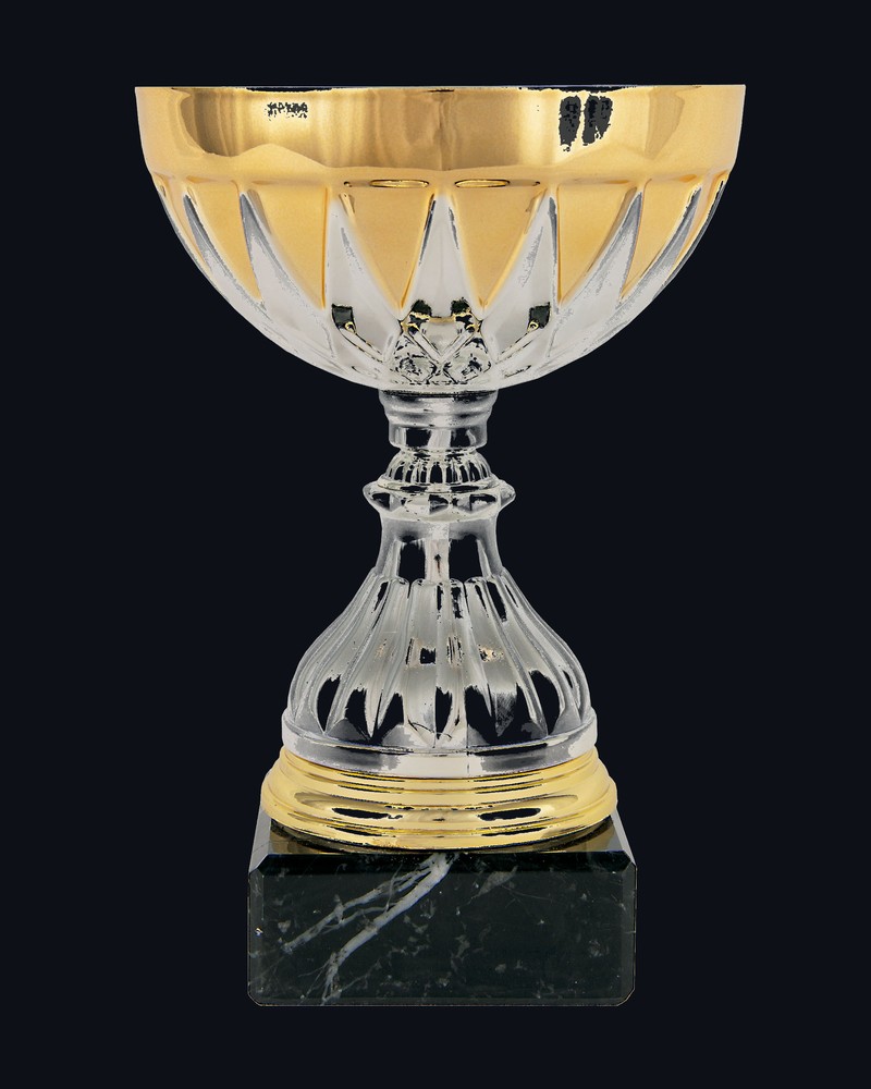 Trofeo Media Bola Estrellada