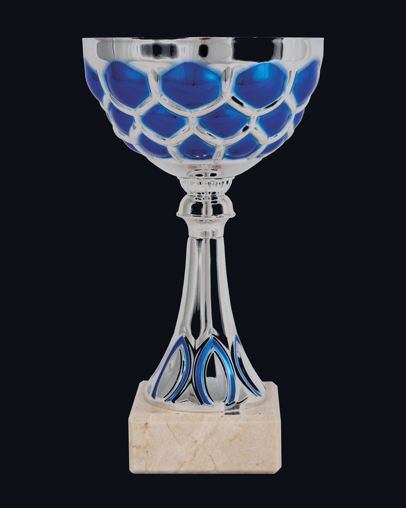 Trofeo Hoja Azul y Plata