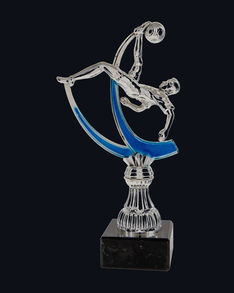 Trofeo Futbolista Chilena Azul
